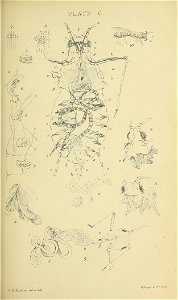n120_w1150