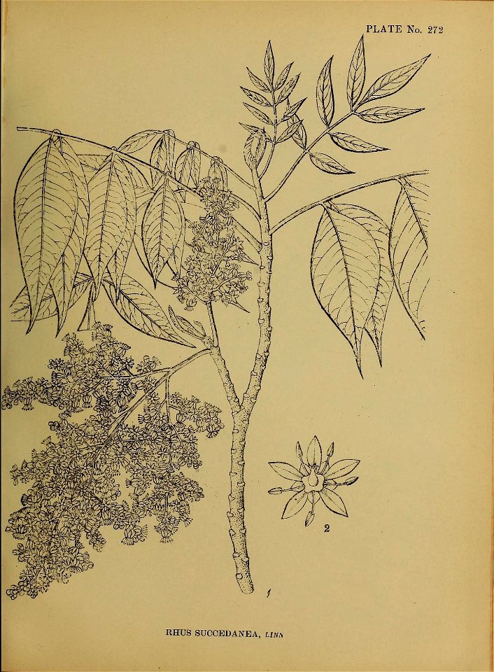 n178_w1150