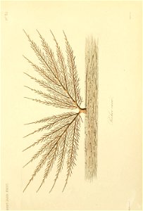 n150_w1150