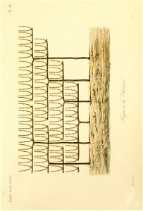 n202_w1150