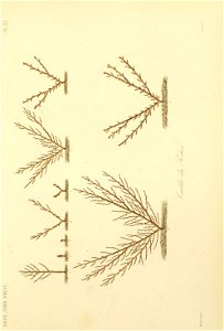 n138_w1150