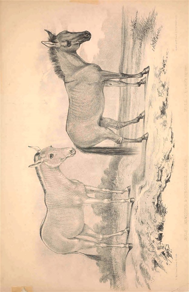 n206_w1150