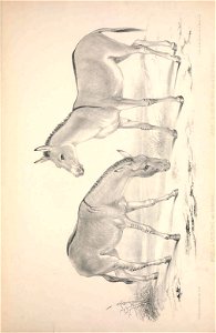 n204_w1150