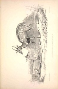 n142_w1150