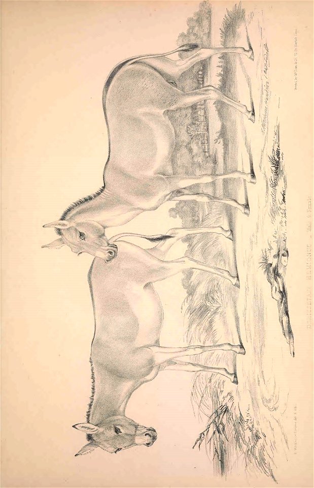n194_w1150