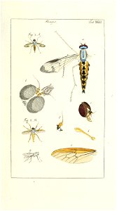 n163_w1150