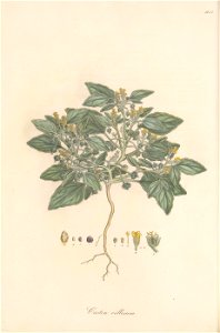 n151_w1150
