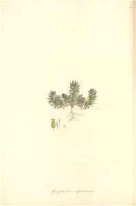 n175_w1150