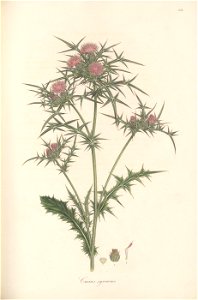 n90_w1150