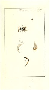 n126_w1150