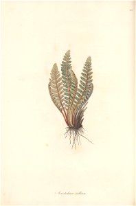 n193_w1150