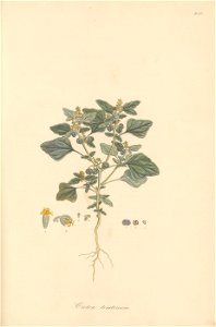 n148_w1150