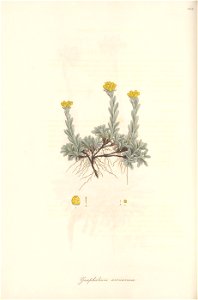 n169_w1150