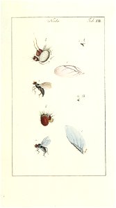 n122_w1150