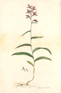 n99_w1150
