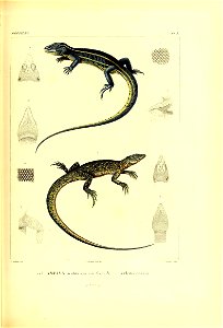 n198_w1150
