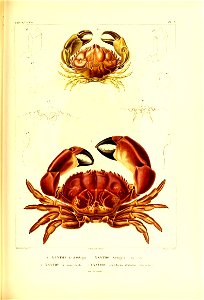 n468_w1150