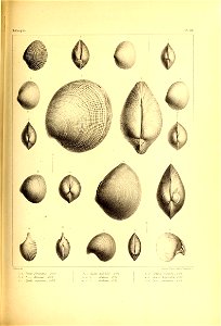 n406_w1150