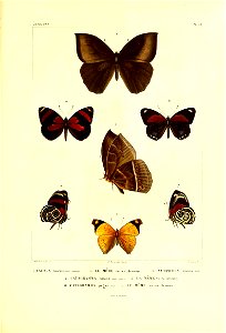 n554_w1150