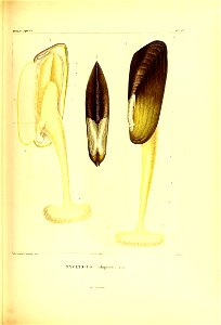 n374_w1150