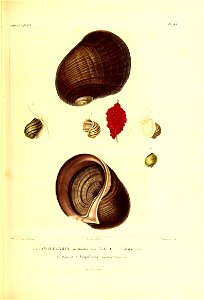 n338_w1150