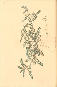 n83_w1150