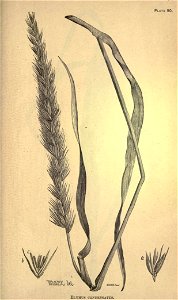 n328_w1150