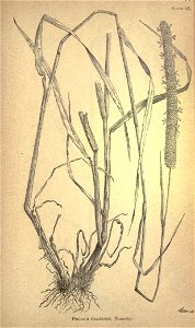 n238_w1150