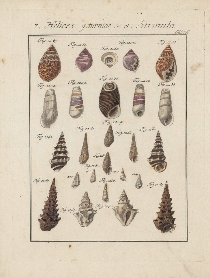 n256_w1150