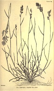 n296_w1150