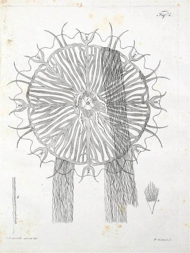 n214_w1150
