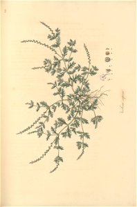 n158_w1150