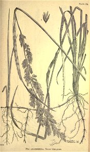 n294_w1150
