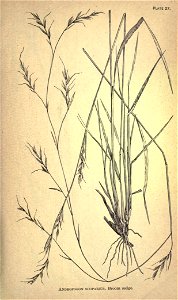 n202_w1150