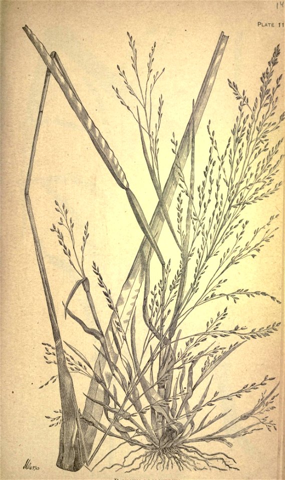 n170_w1150