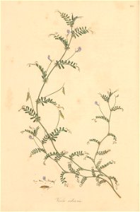 n293_w1150