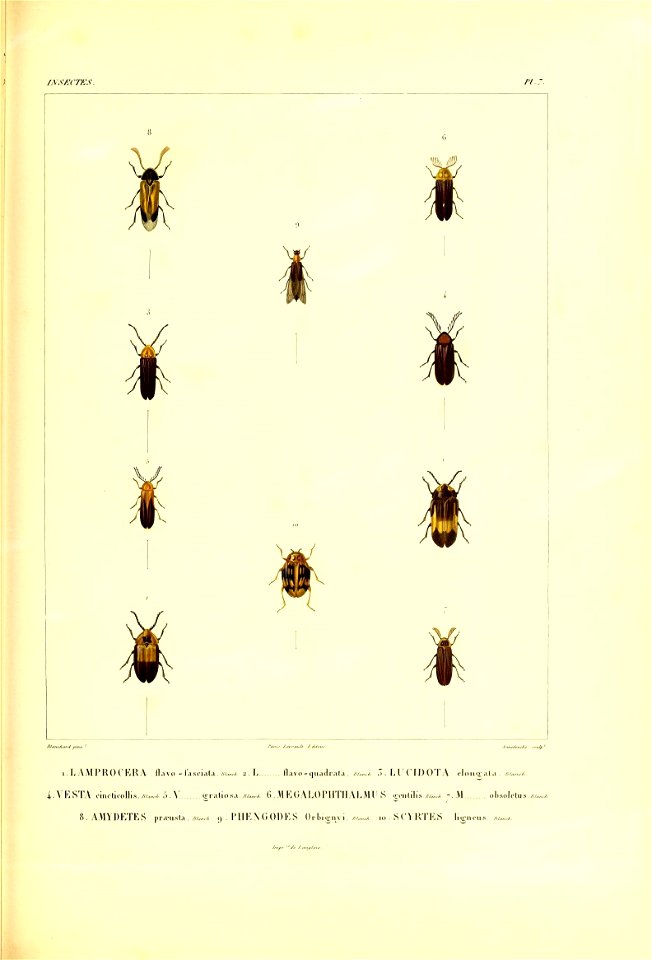 n504_w1150