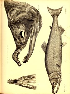 n194_w1150