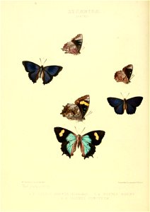 n135_w1150