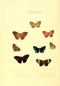 n175_w1150
