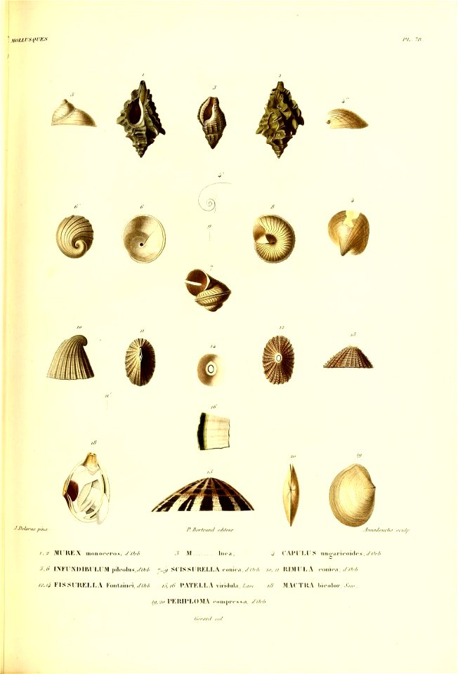 n396_w1150
