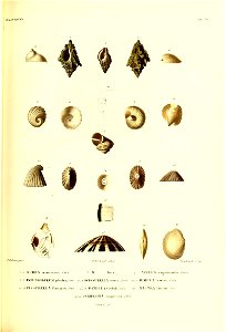 n396_w1150