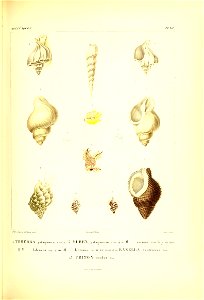 n364_w1150