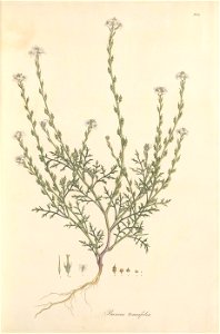 n46_w1150