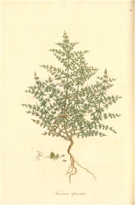 n115_w1150