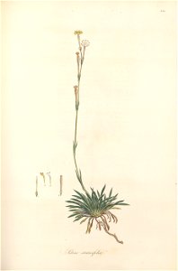 n98_w1150
