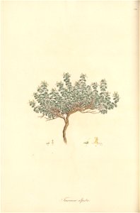n113_w1150