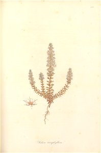 n138_w1150