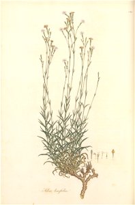 n95_w1150