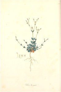 n55_w1150